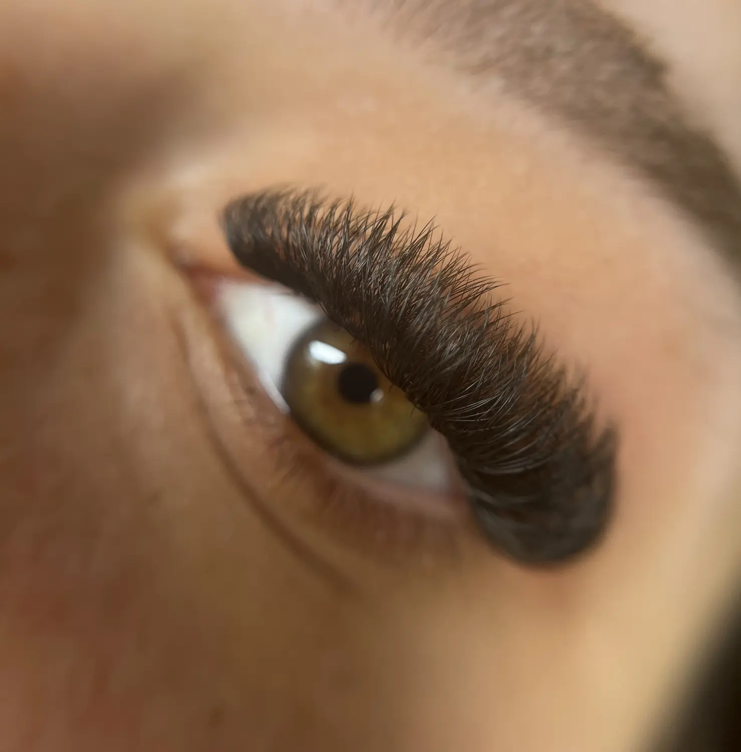 Wimpernverlängerungen von Great Lashes & Brows Beauty Studio