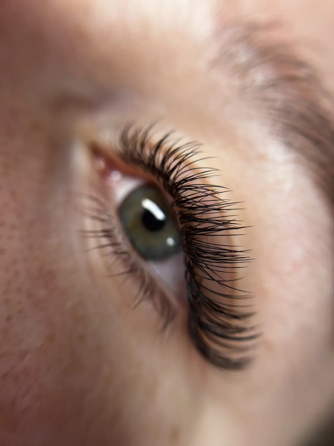 Wimpernverlängerungen von Great Lashes & Brows Beauty Studio