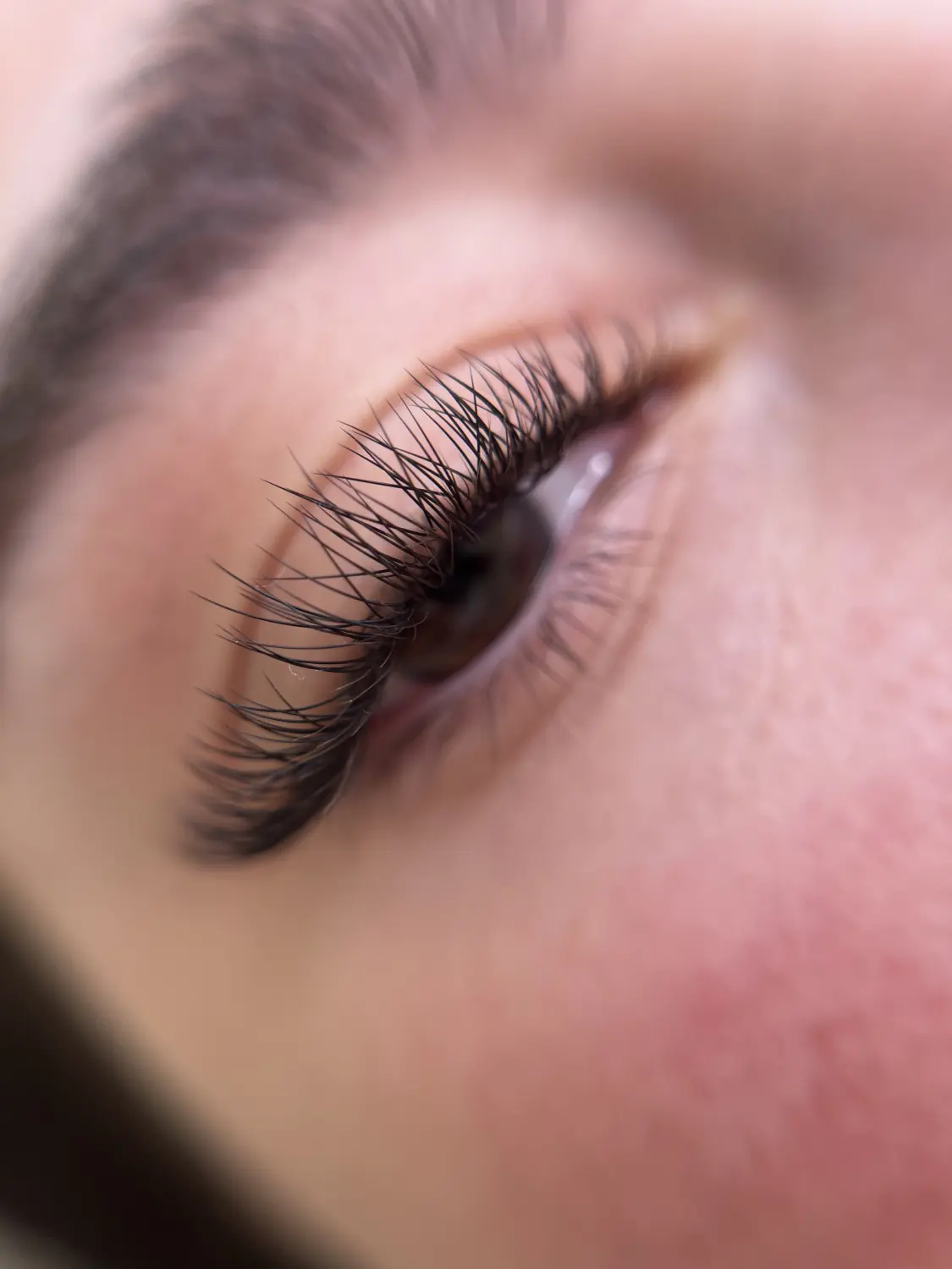 Wimpernverlängerungen von Great Lashes & Brows Beauty Studio