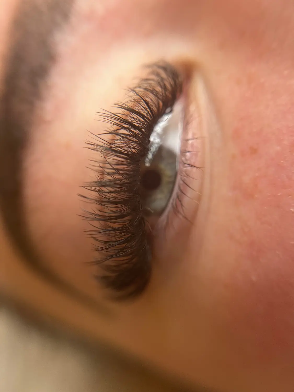 Wimpernverlängerungen von Great Lashes & Brows Beauty Studio