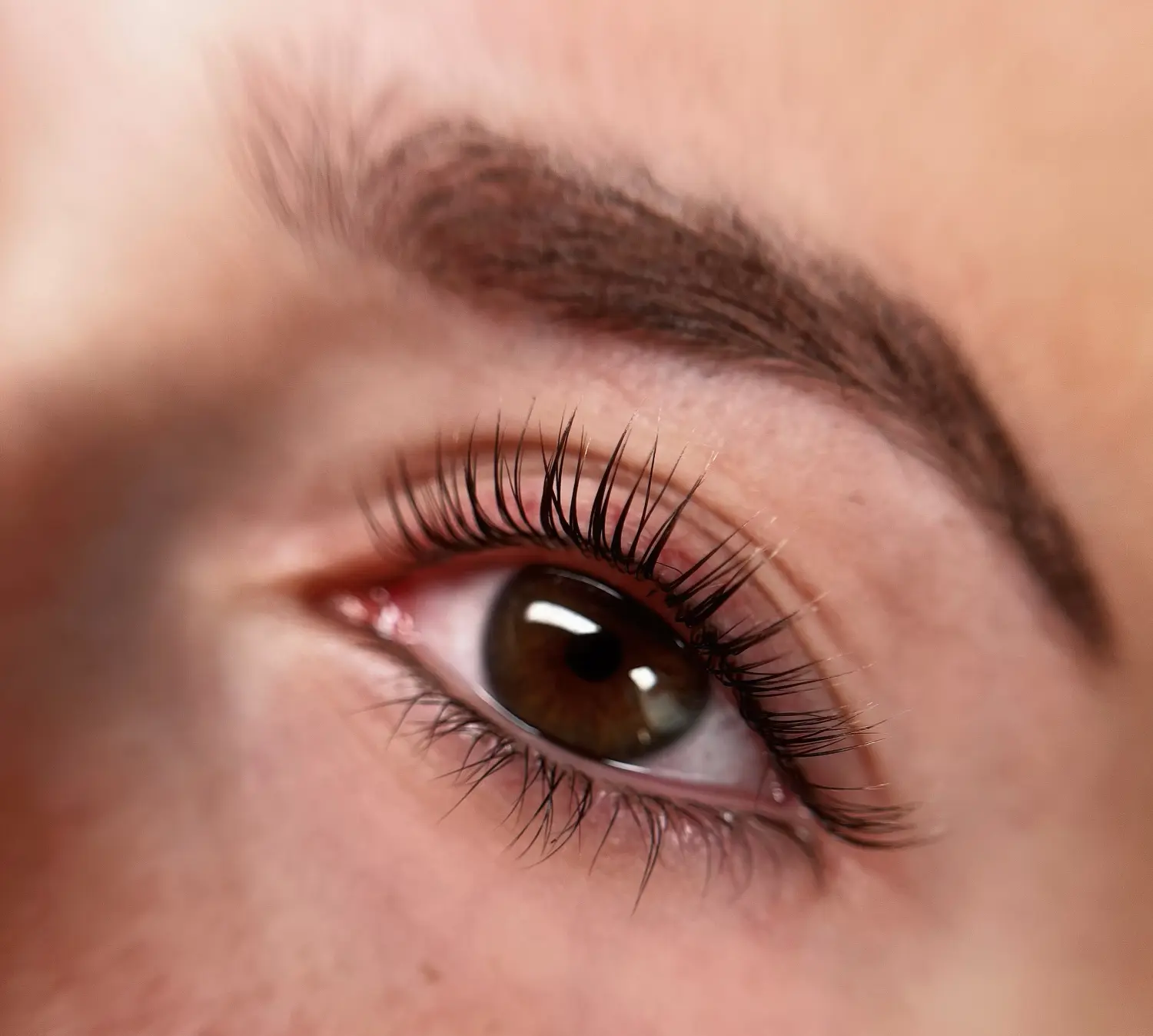 Wimpernlifting vom Great Lashes & Brows Beauty Studio