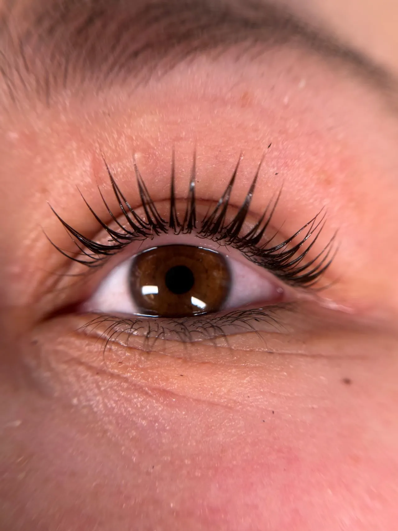 Wimpernlifting vom Great Lashes & Brows Beauty Studio