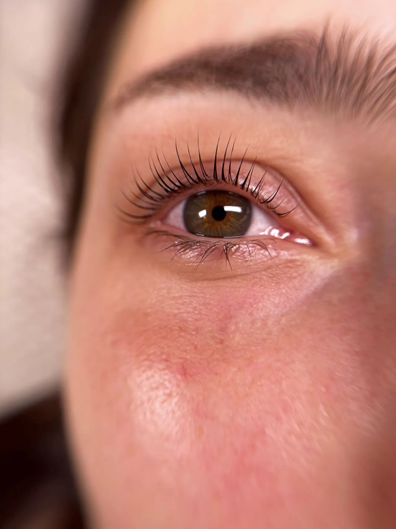 Wimpernlifting vom Great Lashes & Brows Beauty Studio