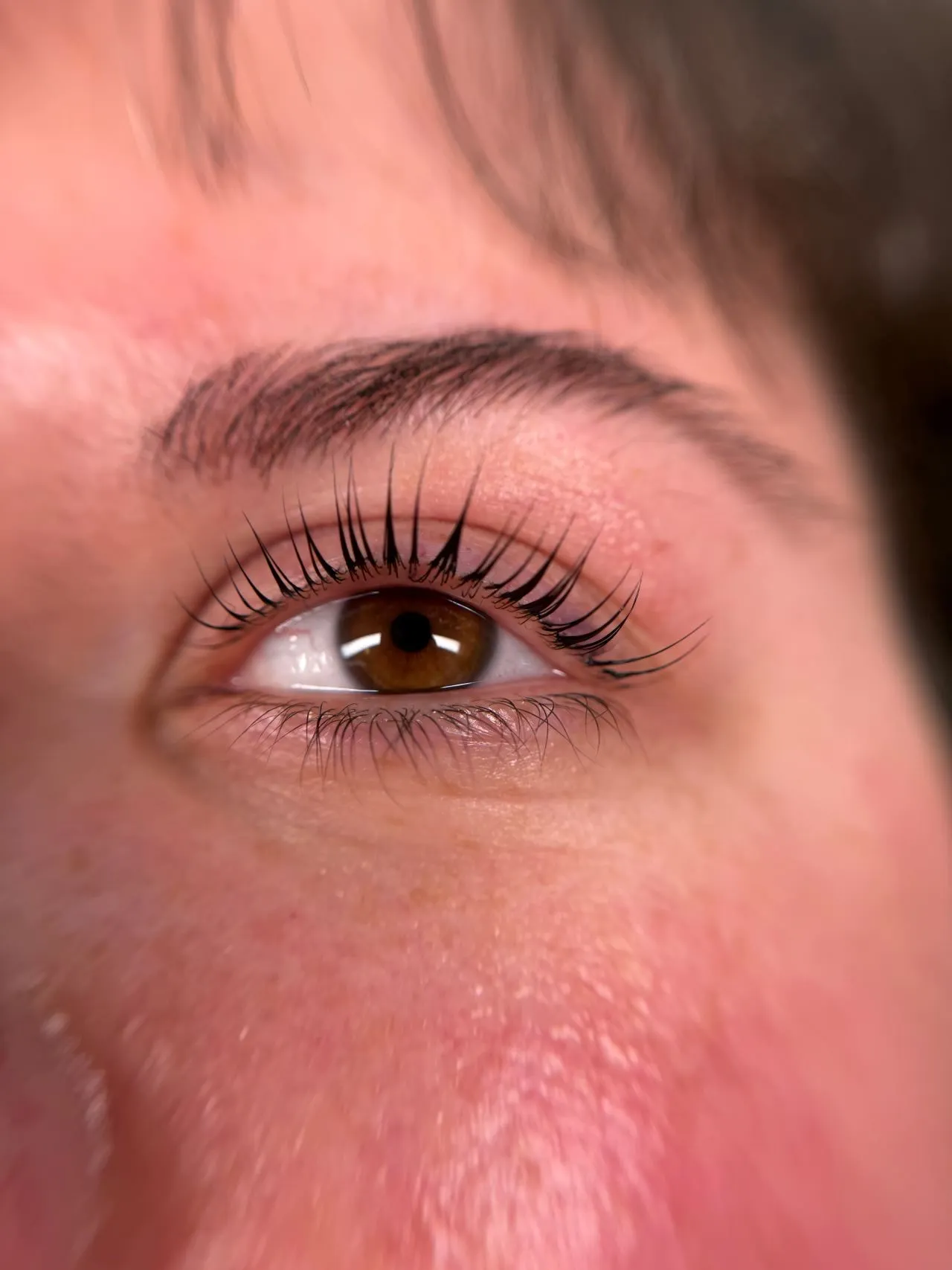 Wimpernlifting vom Great Lashes & Brows Beauty Studio